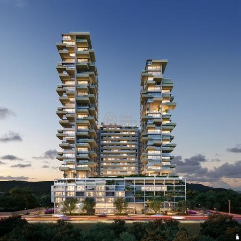 Imagem do lançamento